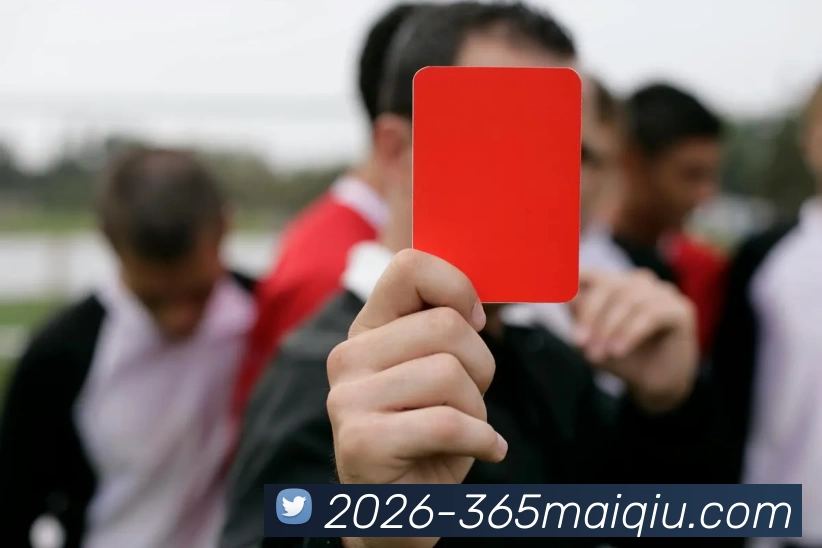 买球官网APP 封面图